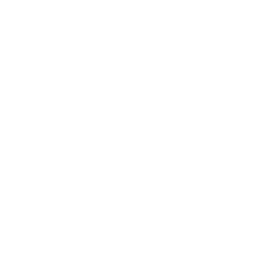 BOSS